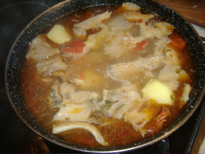 conejo campero